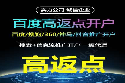搜索引擎竞价推广实战：行业领先企业的成功秘诀